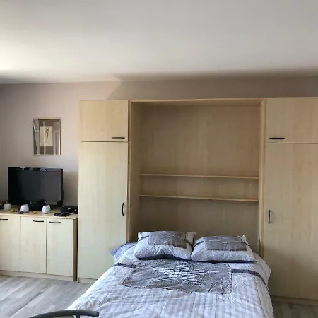 Shiny Nice Studio At Apartment *